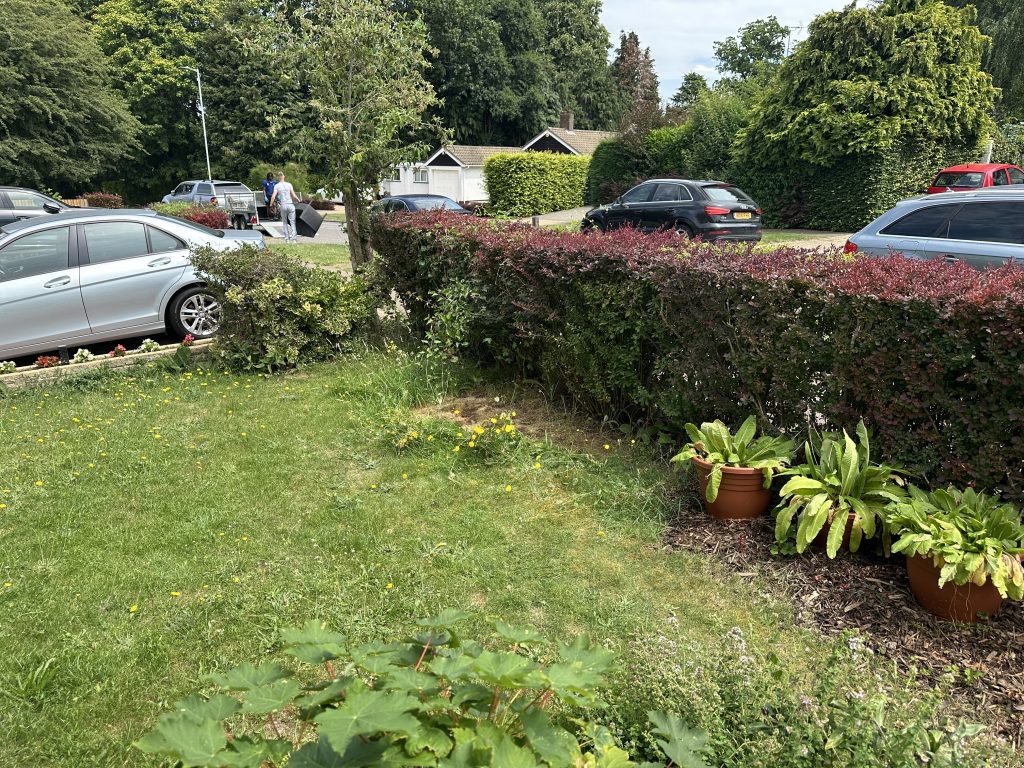 After garden furniture clearance in Welwyn Garden City AL8 – garden fully cleared and ready for new furniture